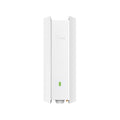 TP-Link AX3000 Indoor-Outdoor Wi-Fi 6 Access Point